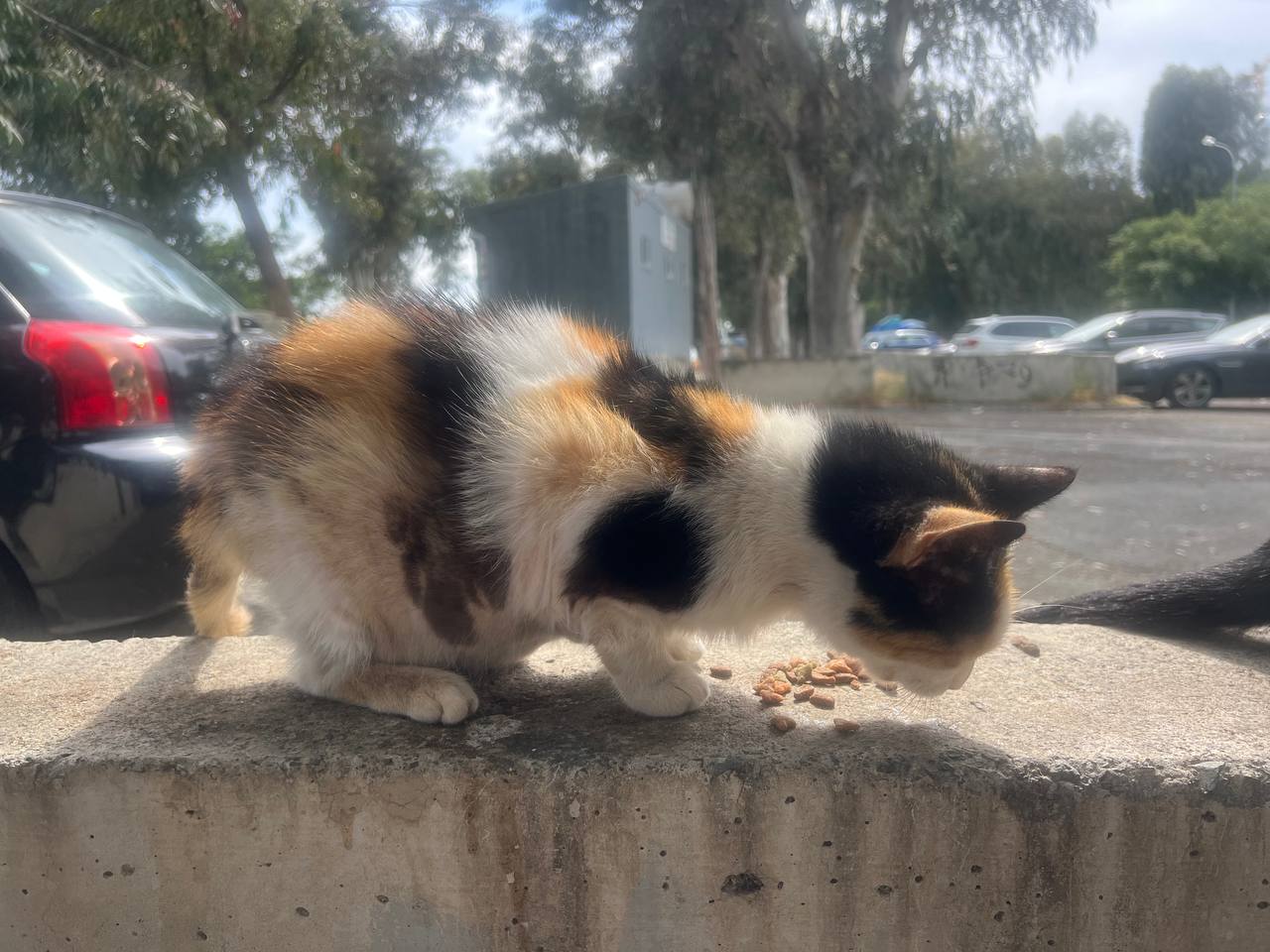 photo_2025-05-02_15-52-39