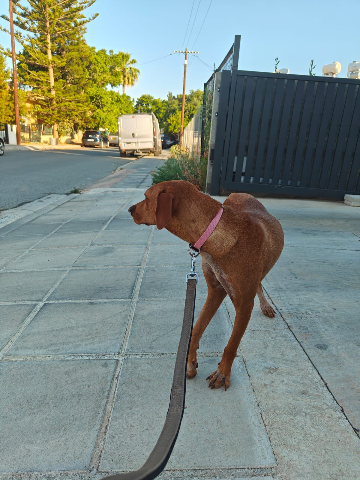 367b86e4-1715-4761-964b-fb9bbe125450