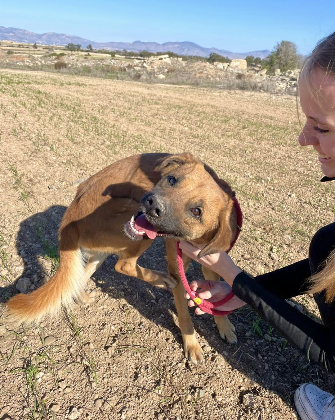 501091671_712594791283701_83574469925299032_n