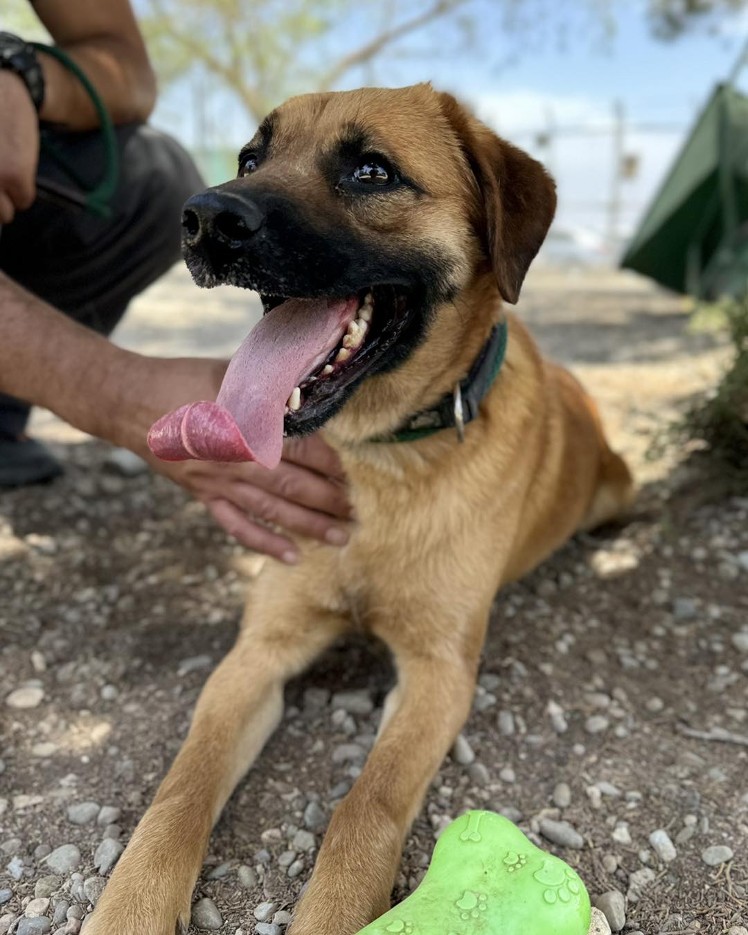 501430022_712594744617039_8140671372582030410_n