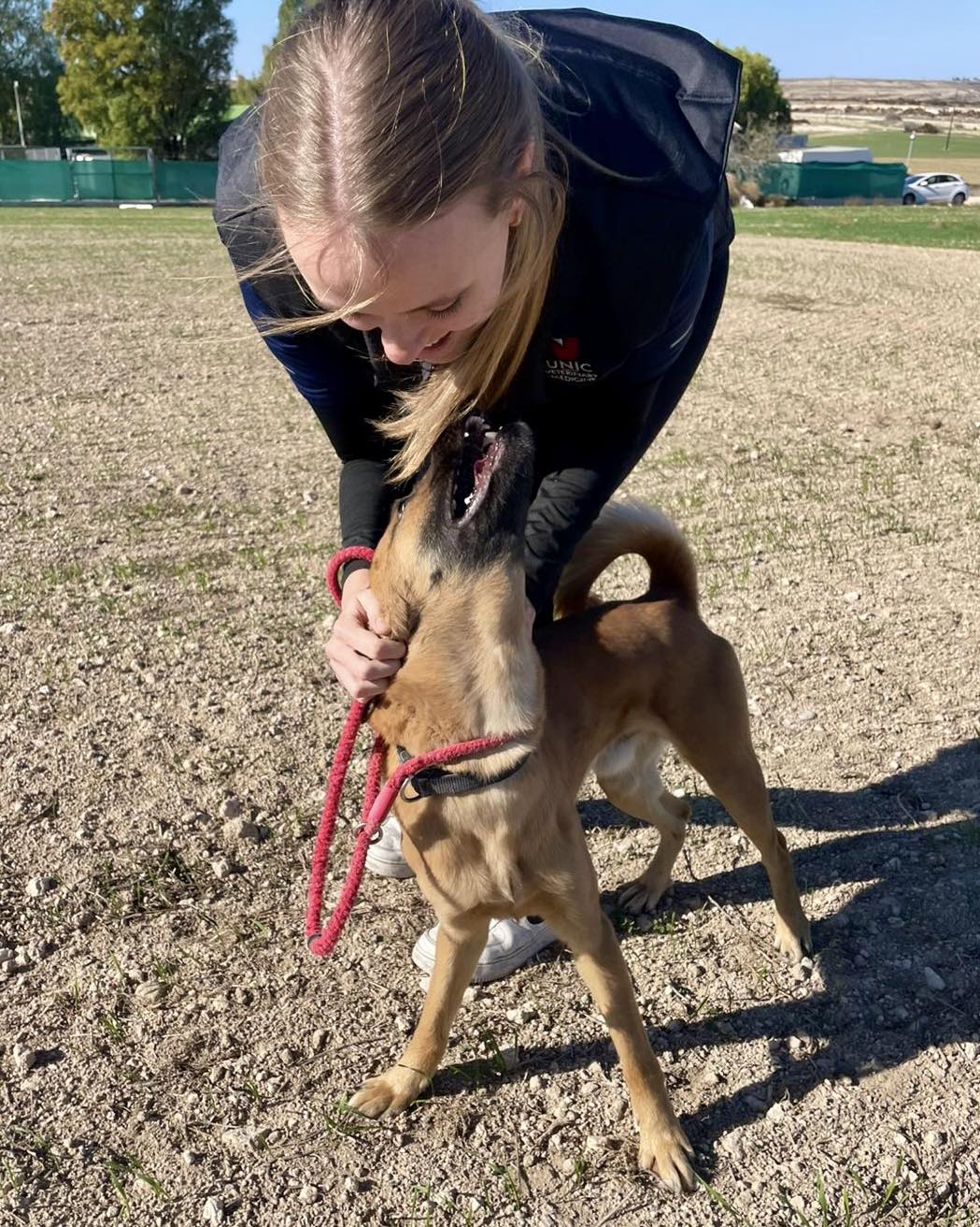 501450639_712594784617035_7537153848053331425_n