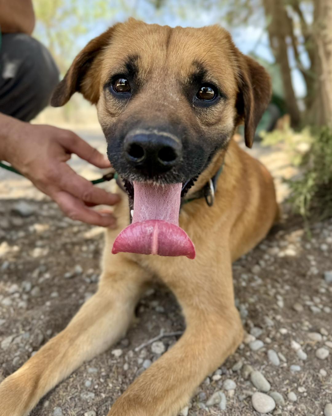 501750641_712594724617041_7094424564733434997_n