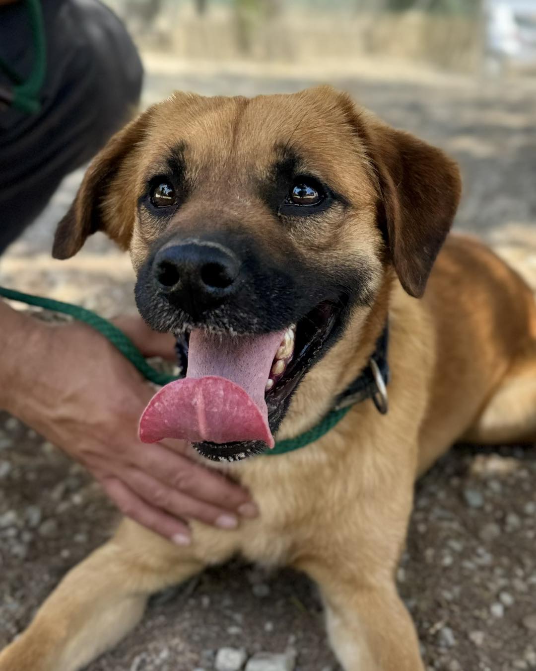 501784903_712594731283707_8249162391905490573_n