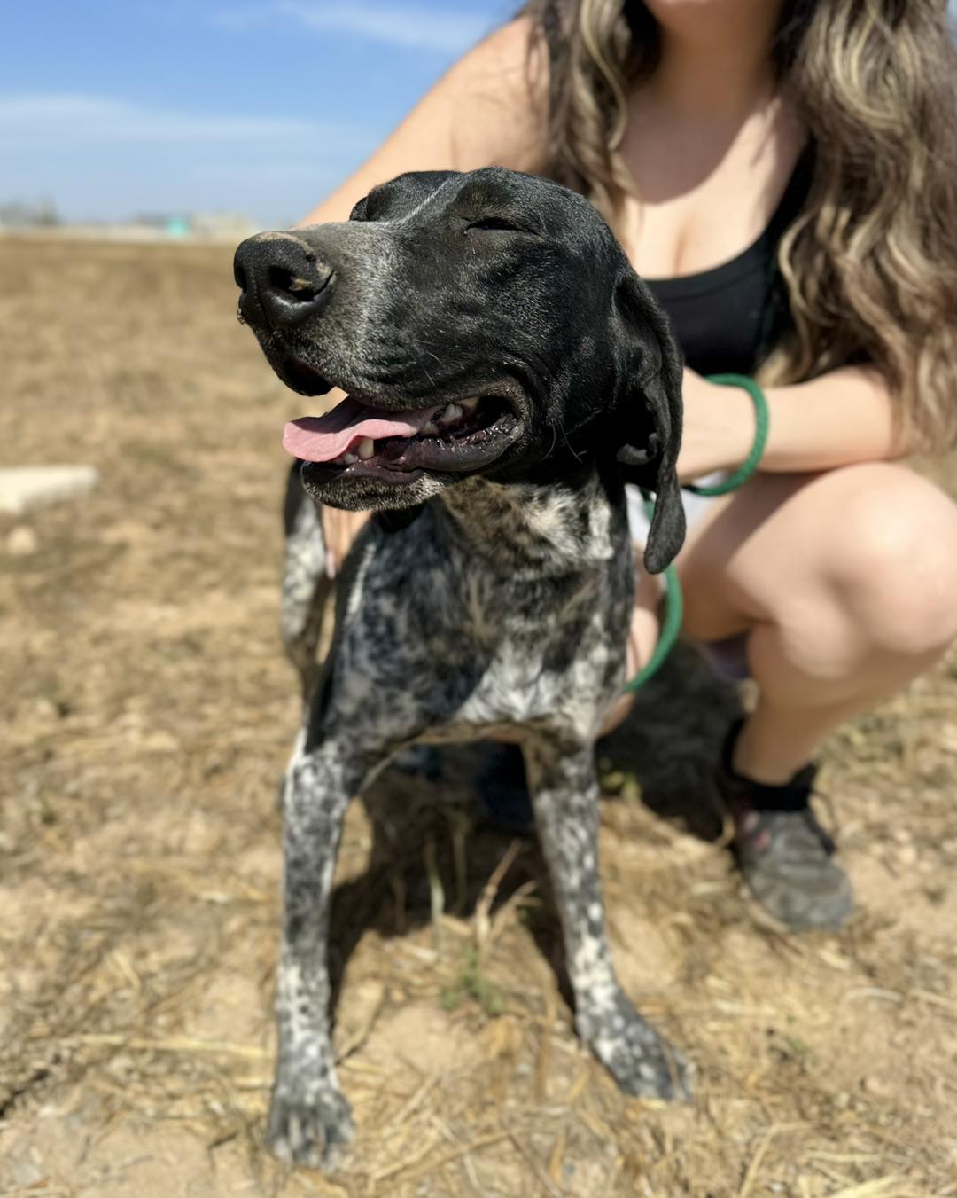 505132186_720779957131851_4955635048017210350_n