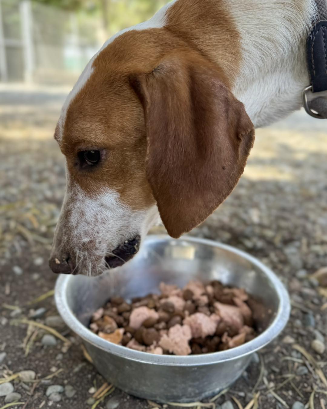 505232241_722985116911335_4326049732807085386_n