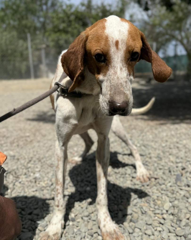 505383585_722985096911337_4804082186304706051_n