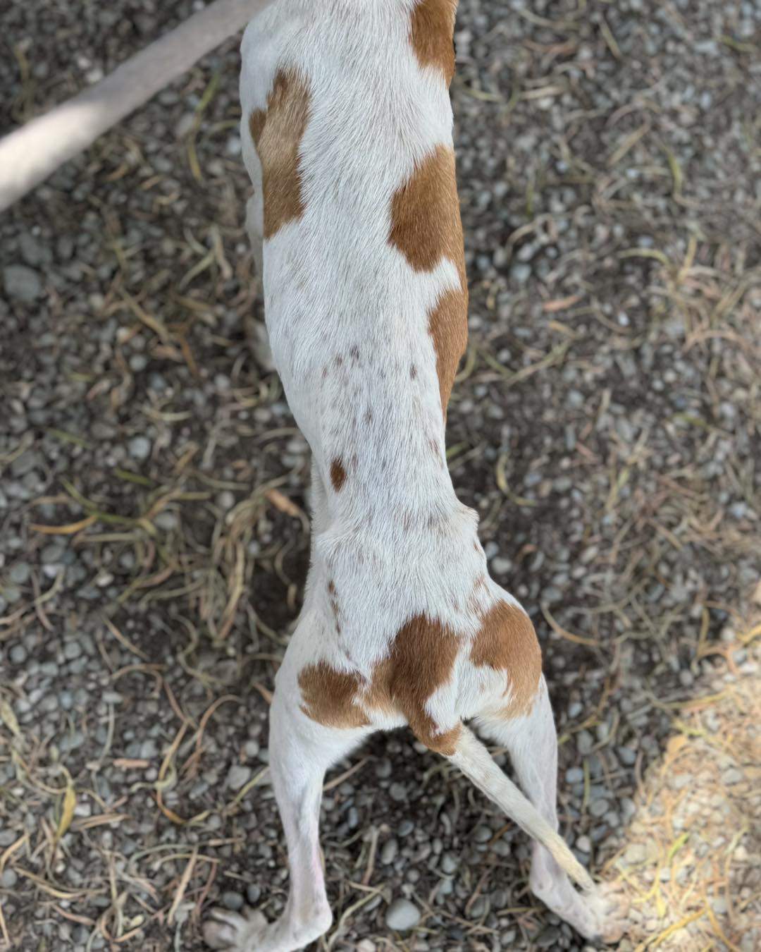 505897956_722985110244669_4456080548649151163_n