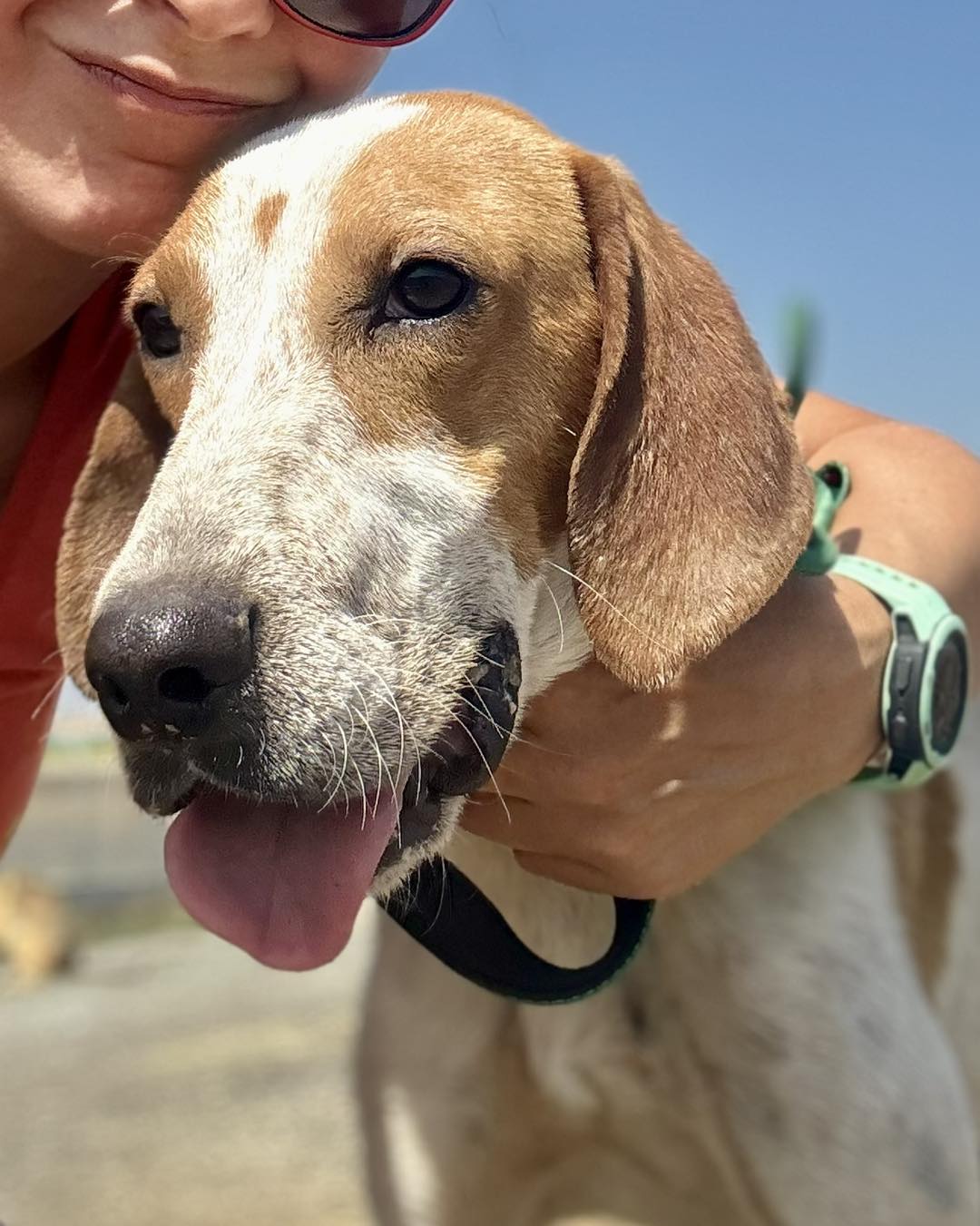 506670231_722985100244670_5928225337676465613_n