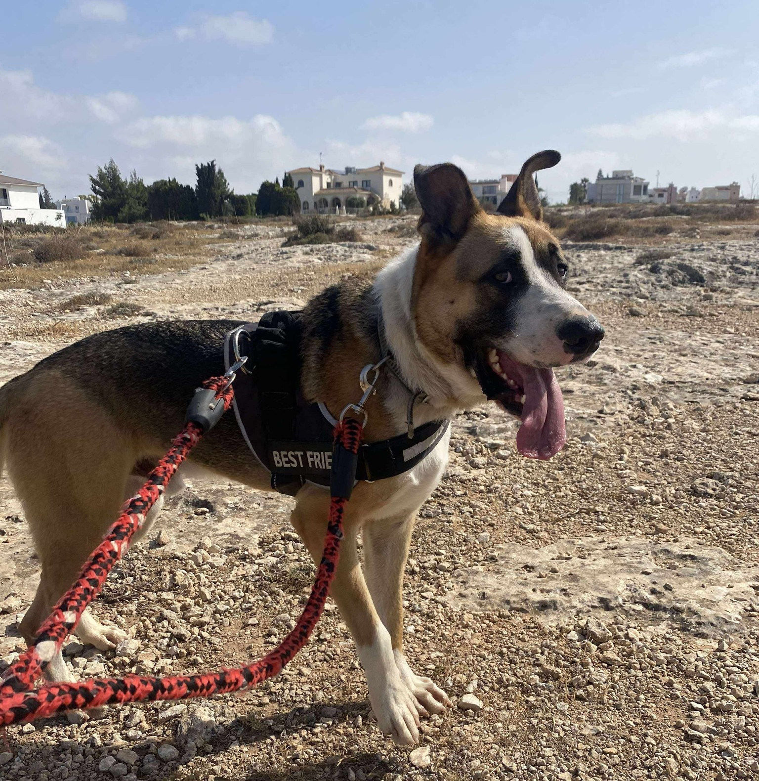 506826997_783326807351123_3644776579386345983_n