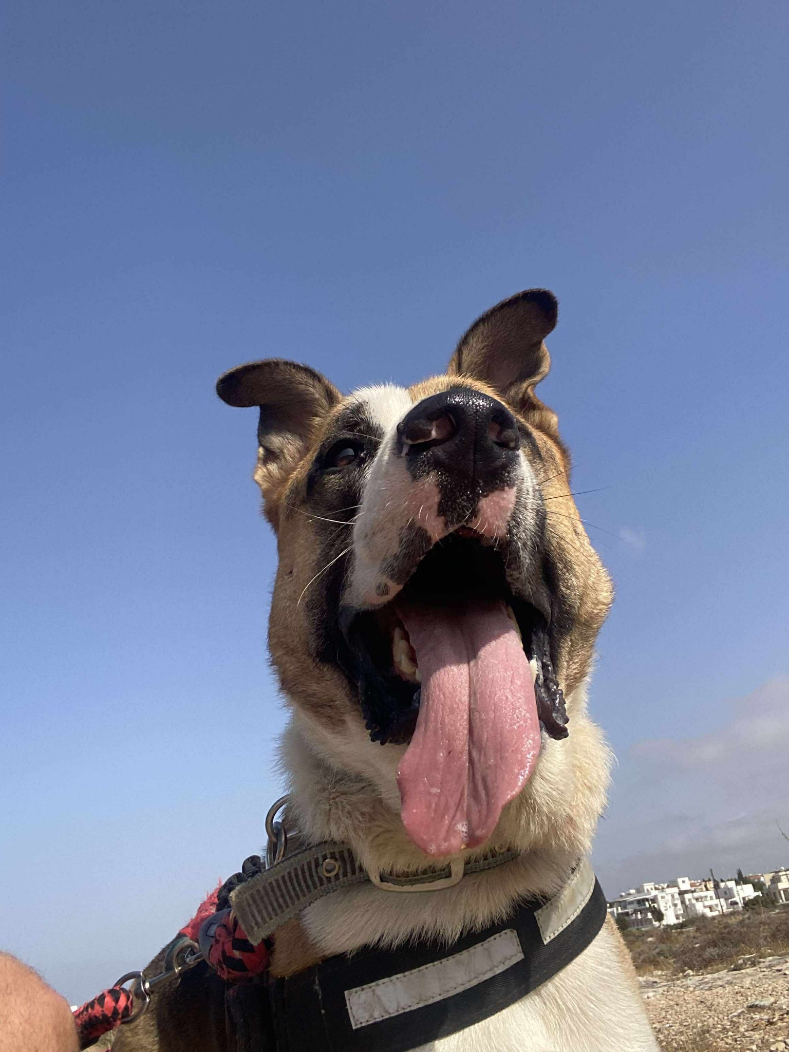 507022679_783326610684476_6297785548548573432_n