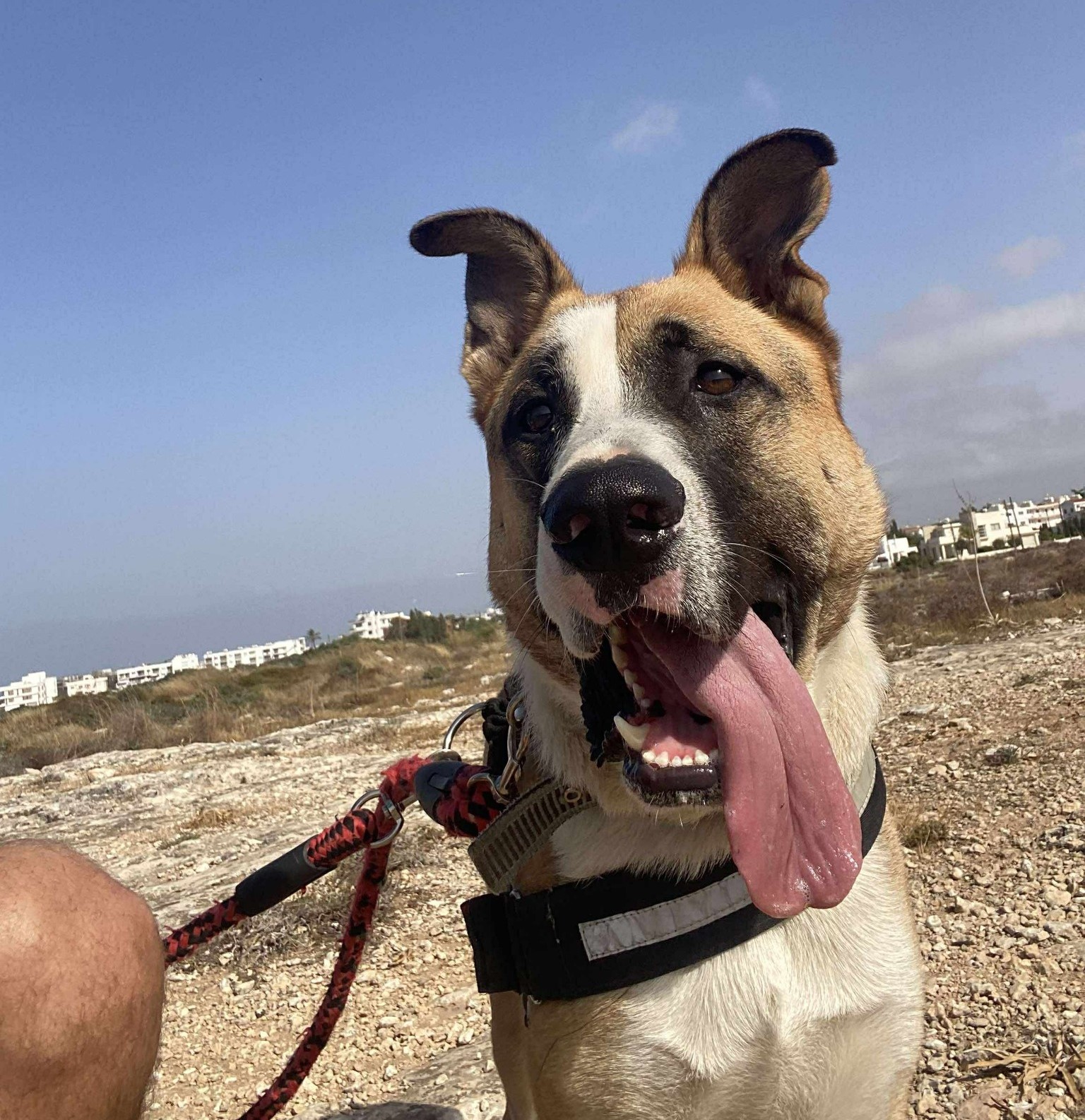 507135269_783326540684483_3832609613340683478_n