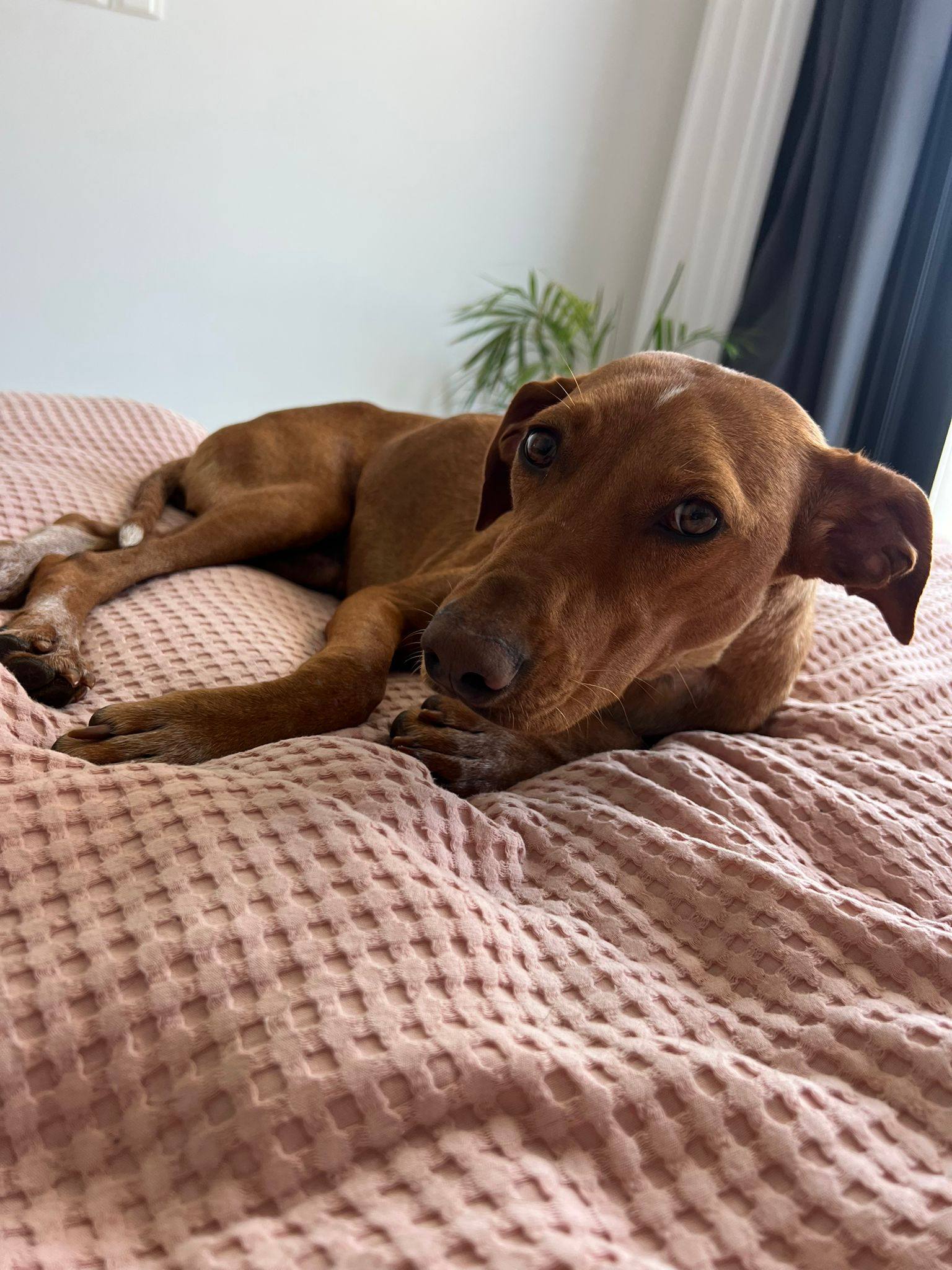 507137100_24226399743666124_6486413600774971326_n