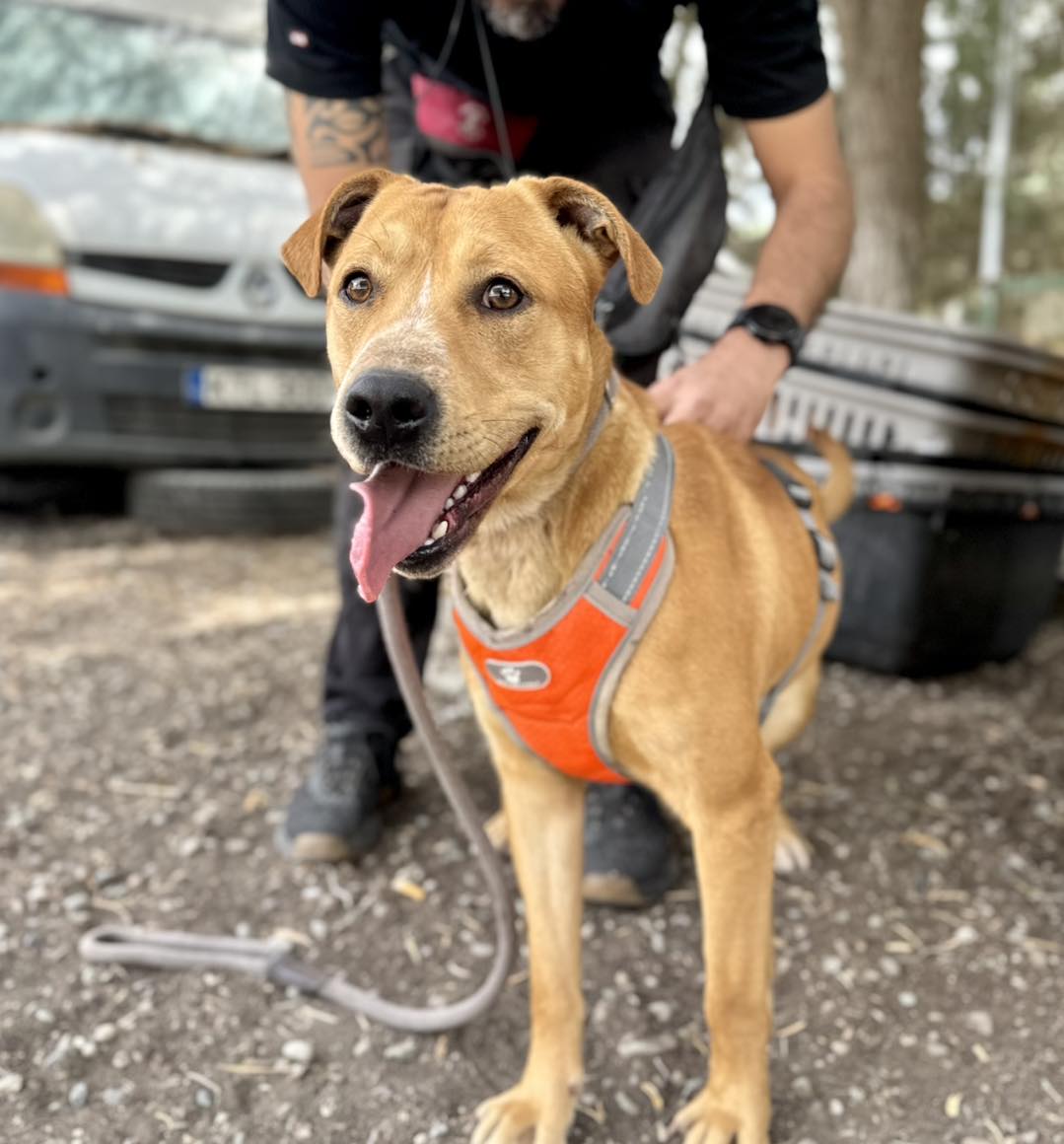 508120566_725884303288083_3135809898317192954_n