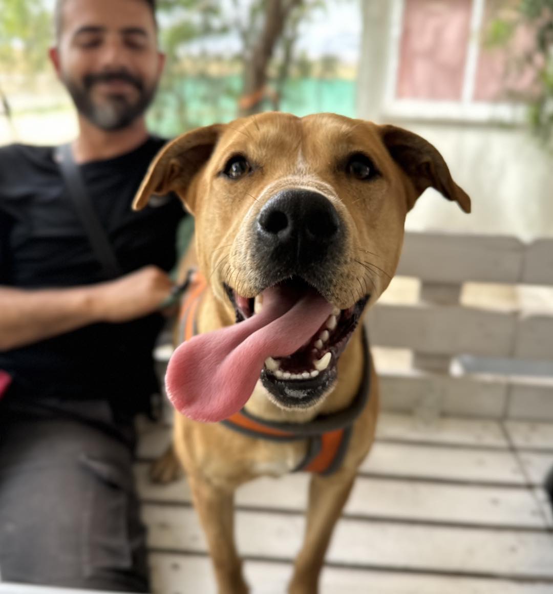 508185853_725884283288085_8773932410740930622_n