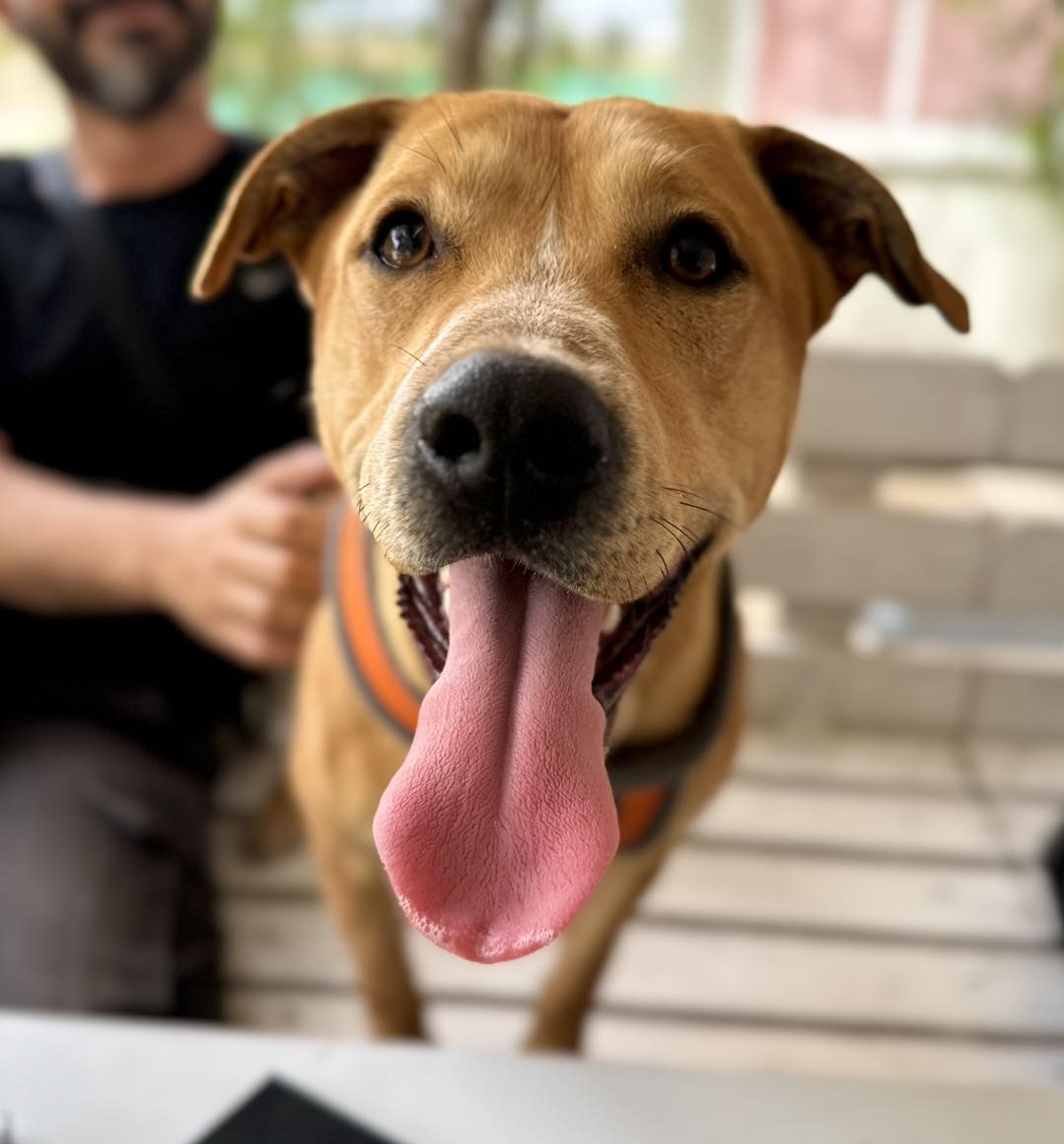 508406451_725884246621422_6112591014790393174_n