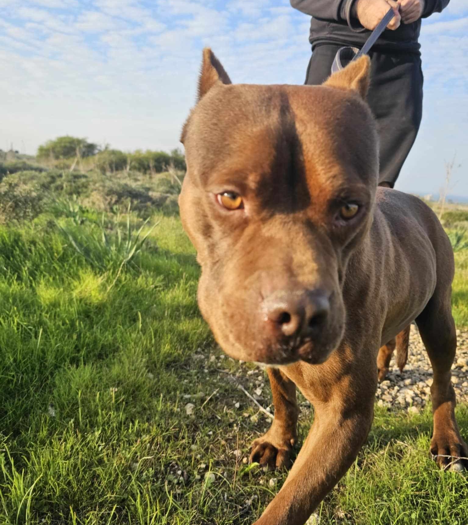 508430985_786311020386035_7421309663852802100_n