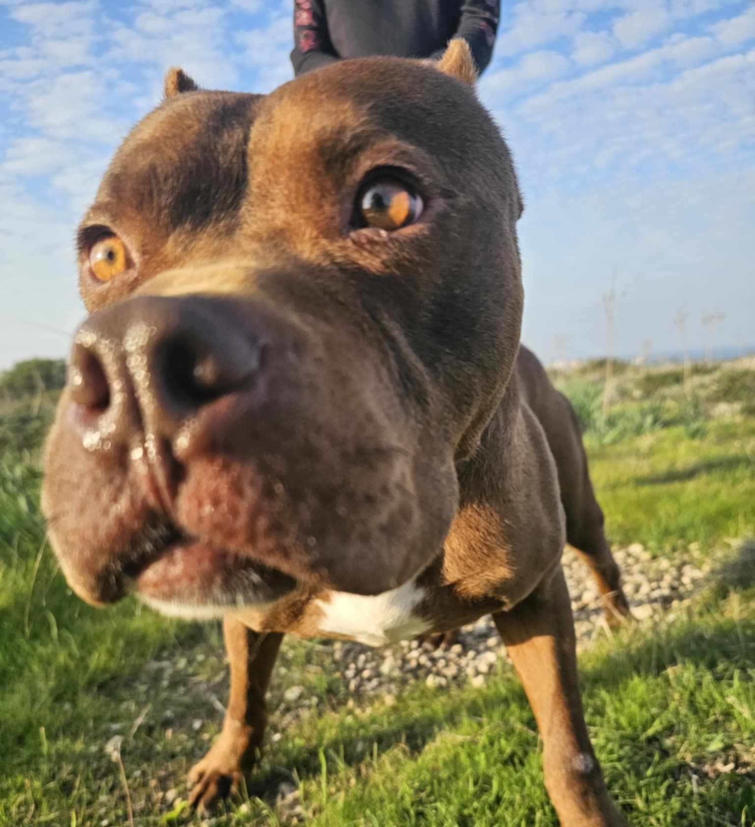 508466470_786310693719401_8312432767764974309_n