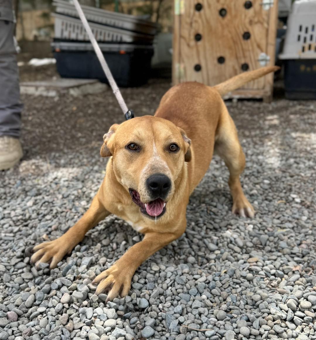 508560813_725884336621413_7529733500098028089_n