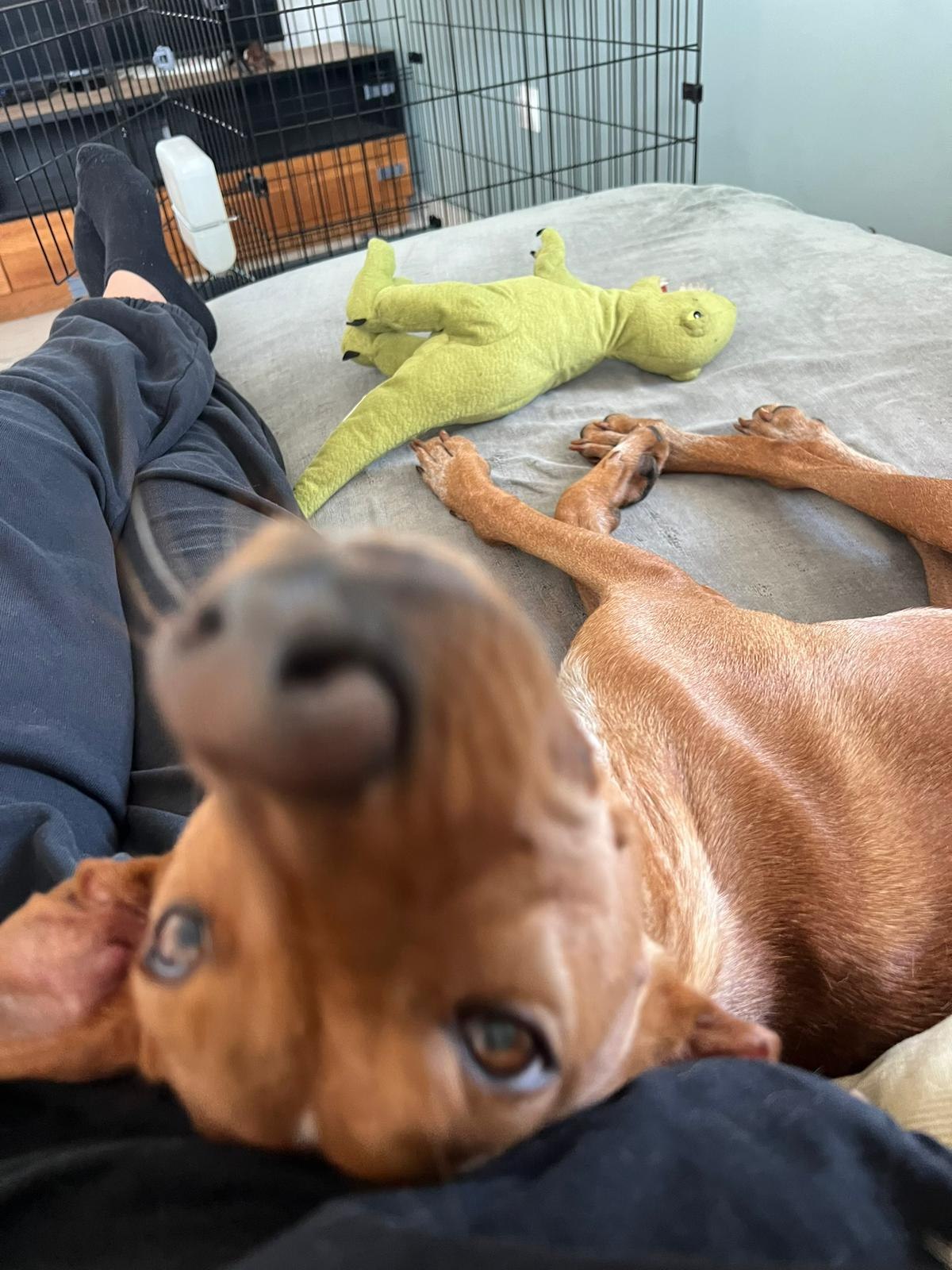 508699042_24226400833666015_1536234474417187722_n