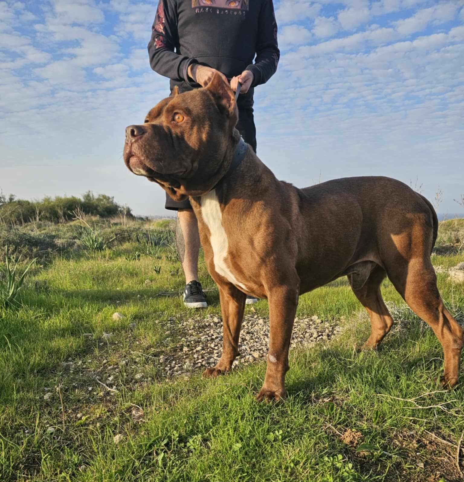 509199123_786310850386052_8180003083641977281_n