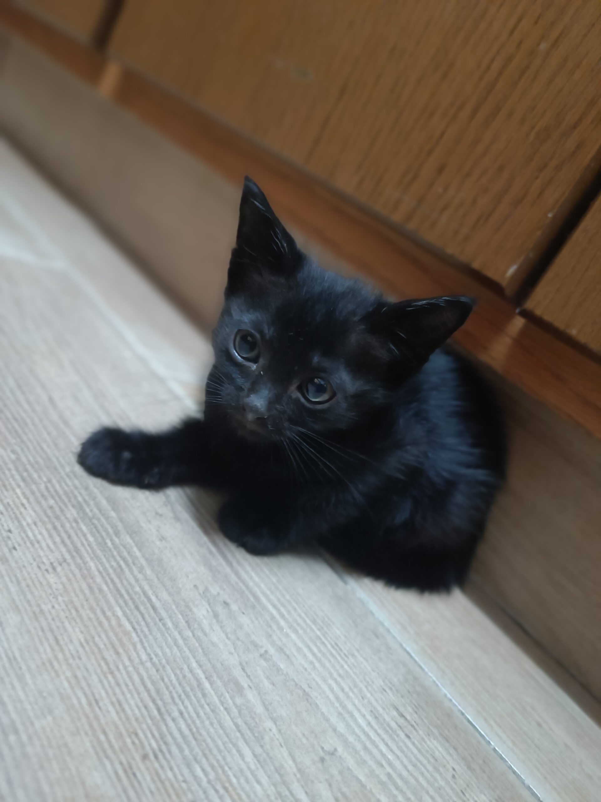 inbound8688395752360768070