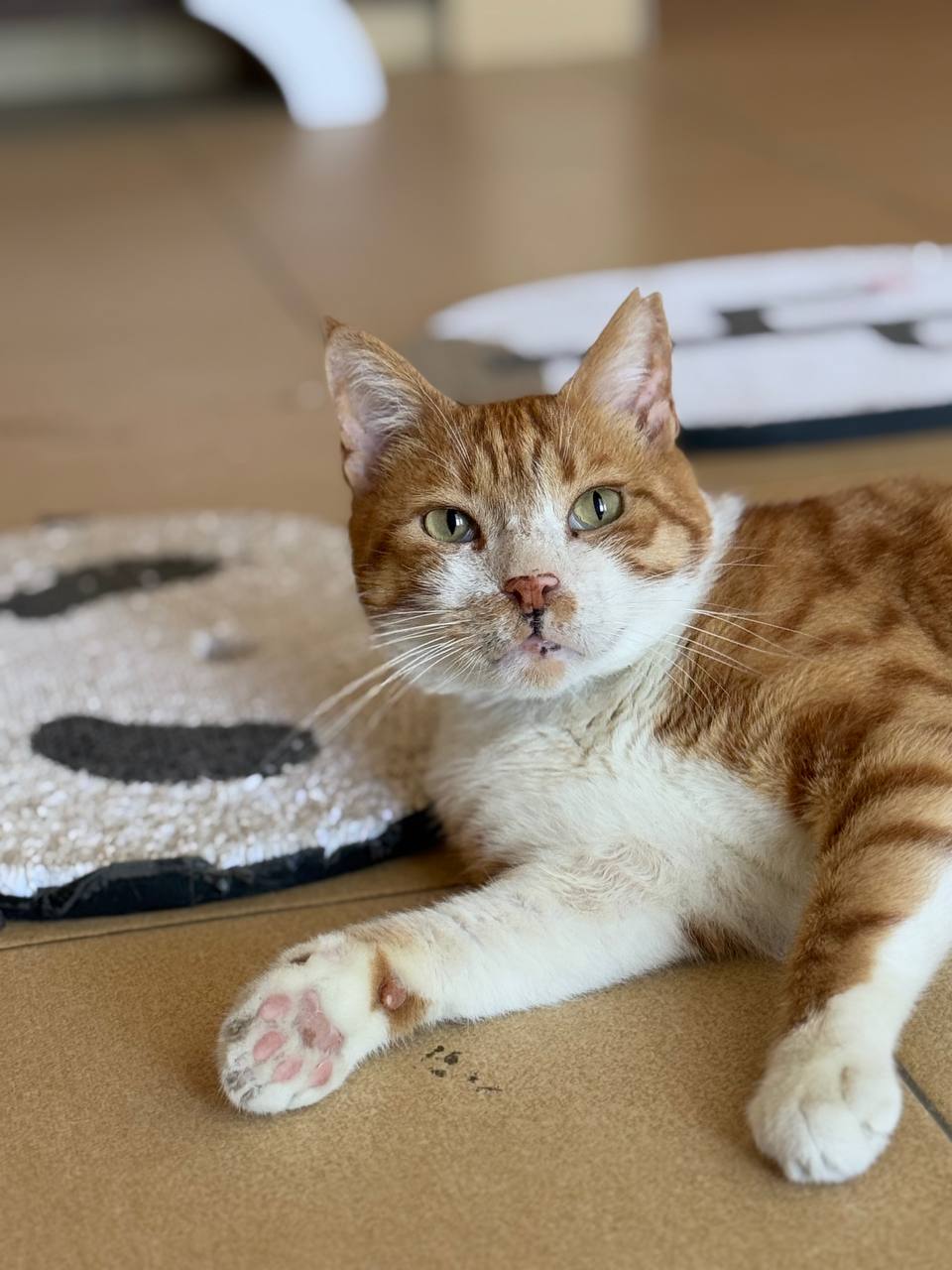 photo_2025-06-06_22-14-34