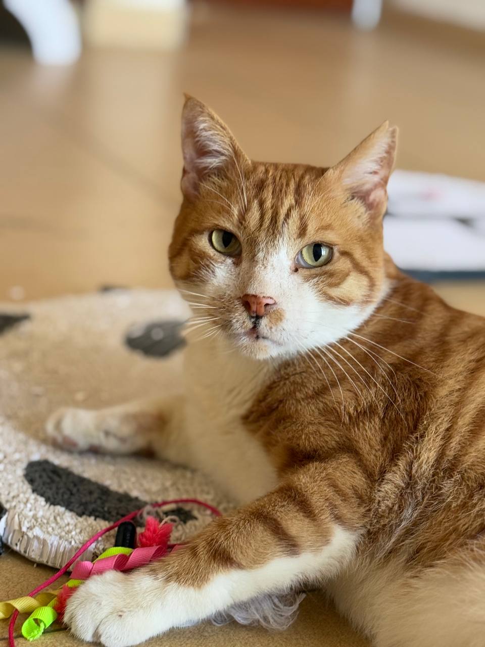 photo_2025-06-06_22-14-41