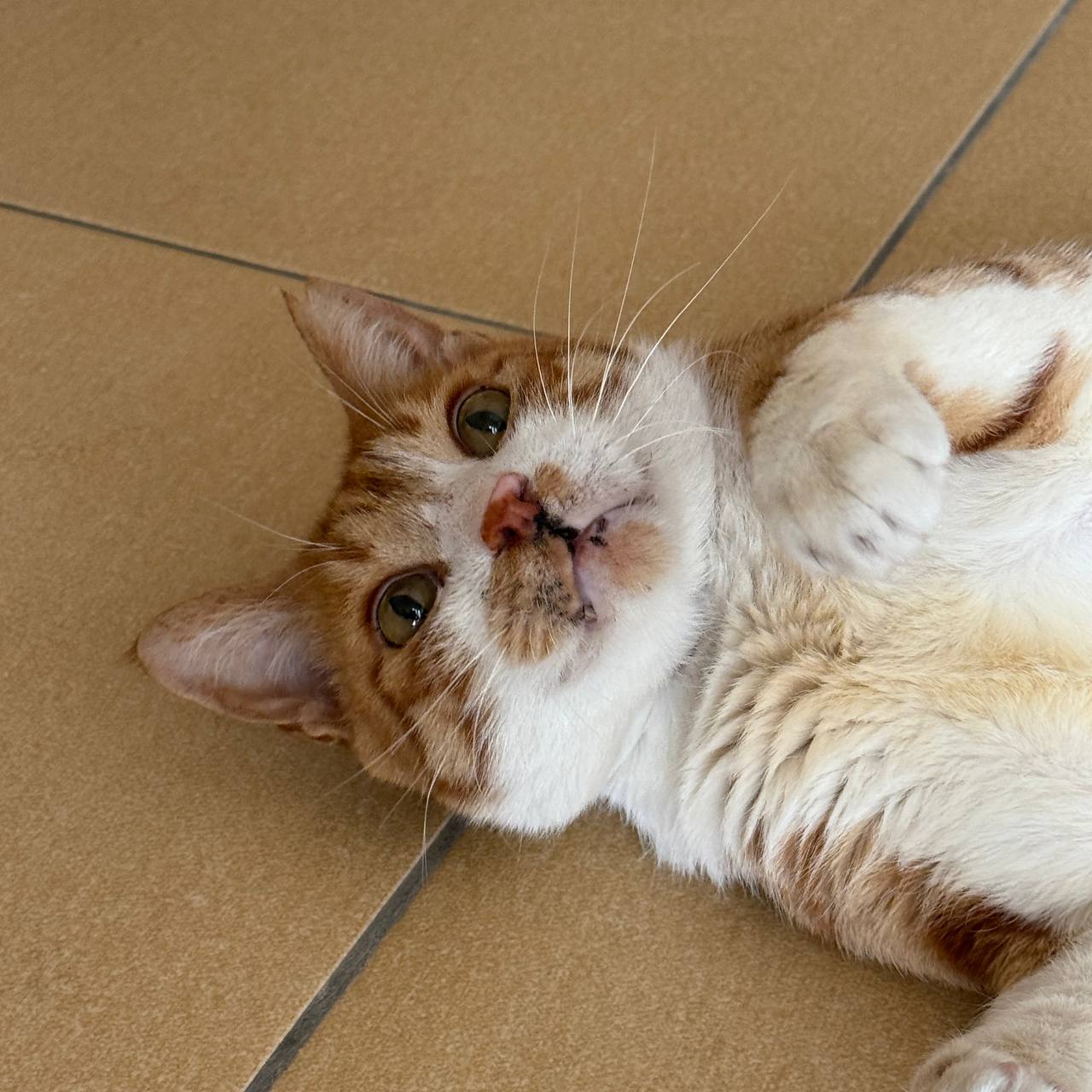 photo_2025-06-06_22-14-44