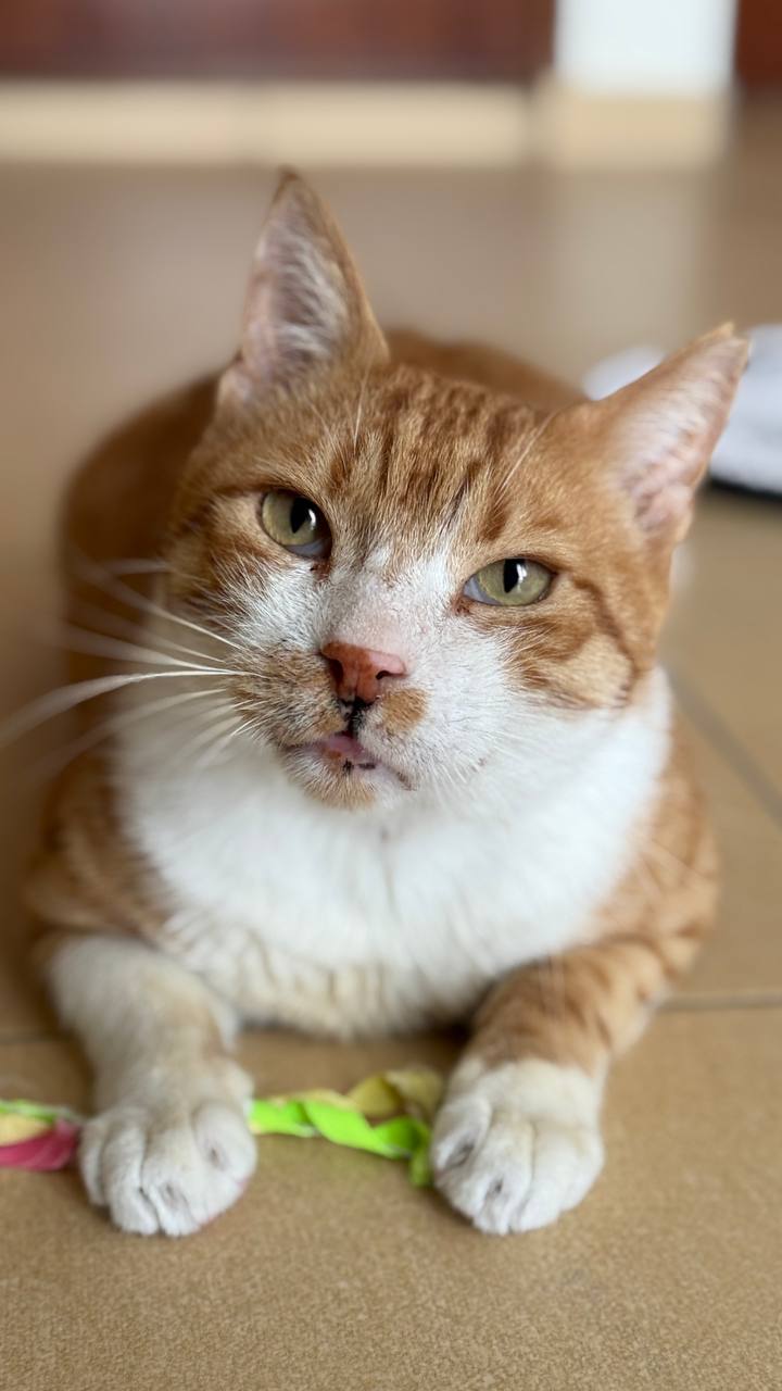 photo_2025-06-06_22-14-48