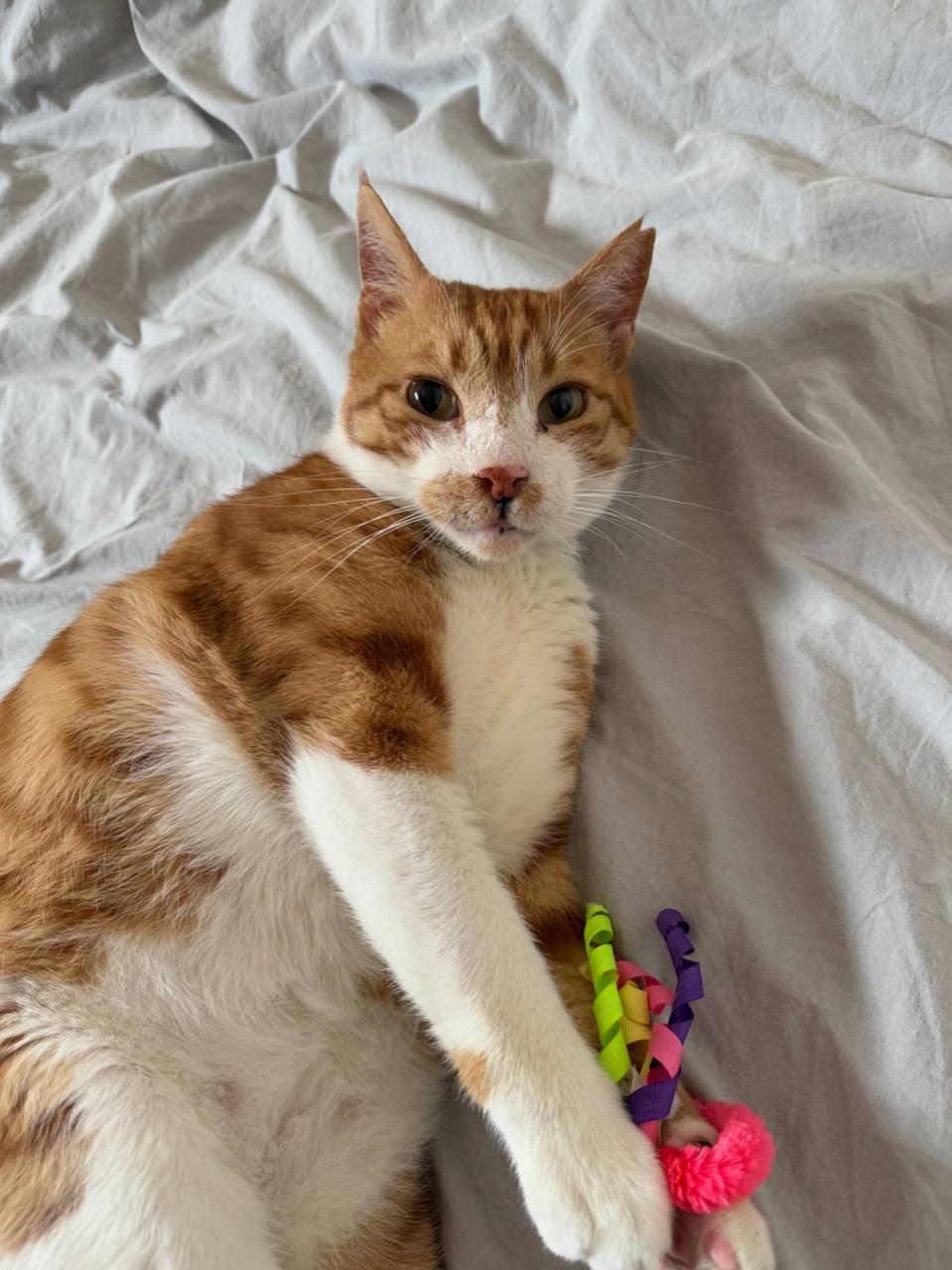 photo_2025-06-06_22-15-30