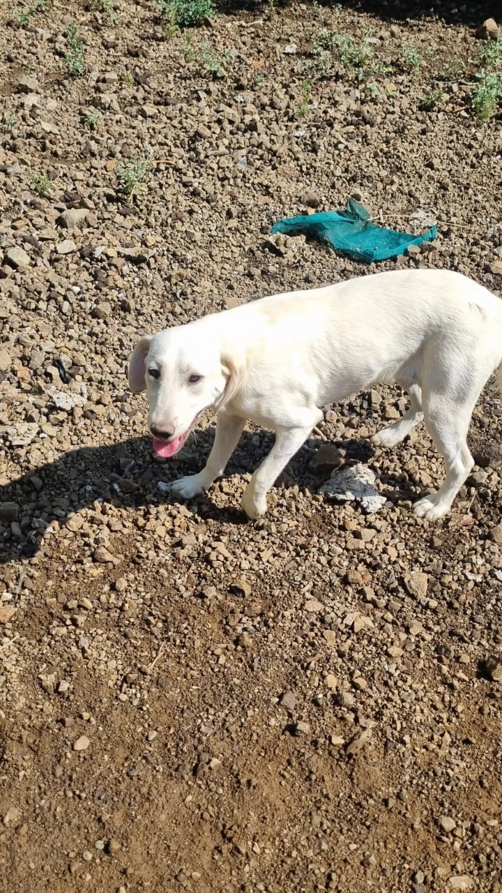 0413bd88-f18c-4257-b1b6-23fa8ee63b78