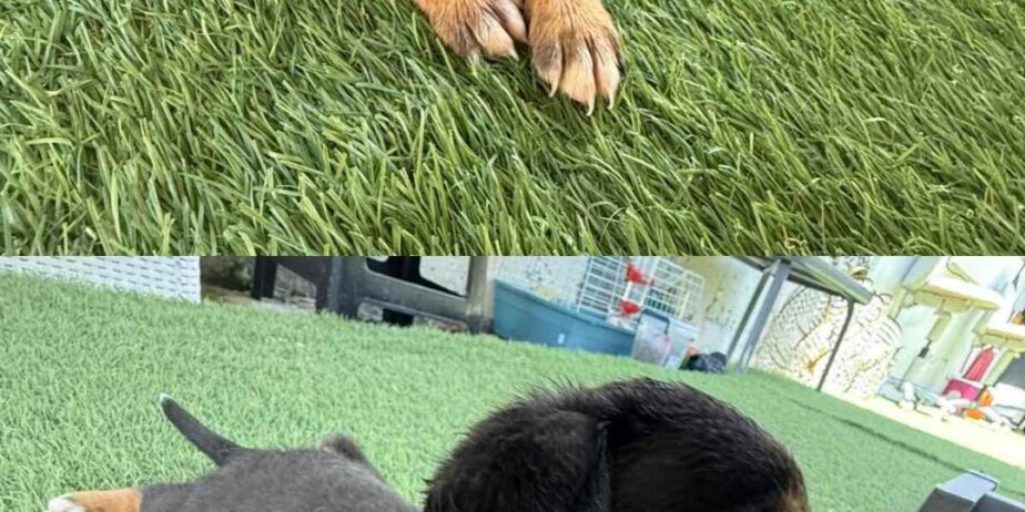 1000008924