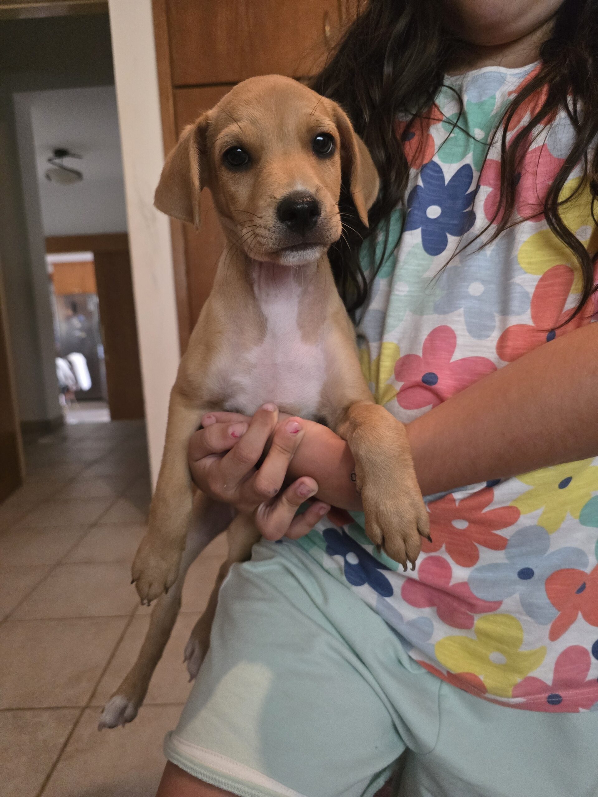 1751719716523323036180150867285