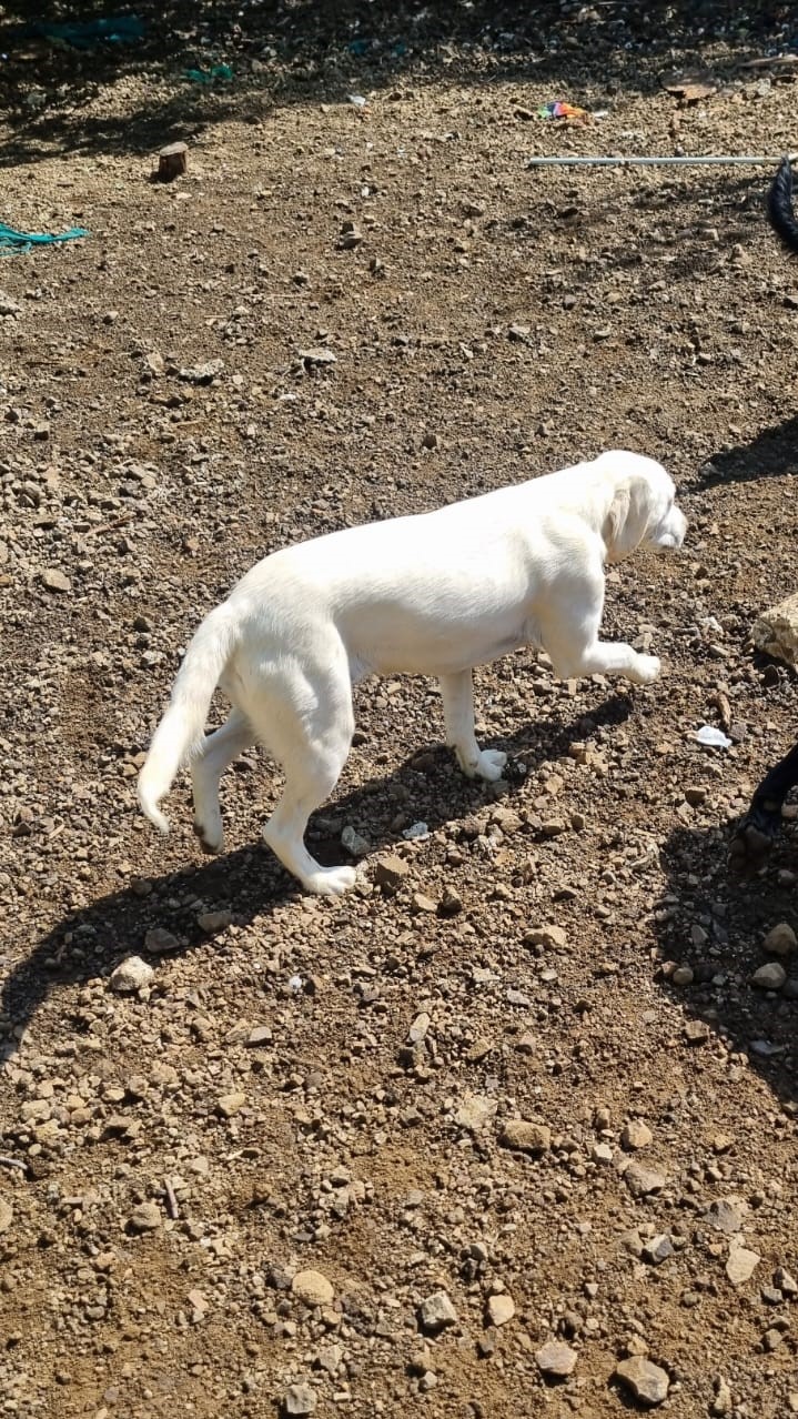 2f796a92-6cb3-406a-930d-5d8f23570e82