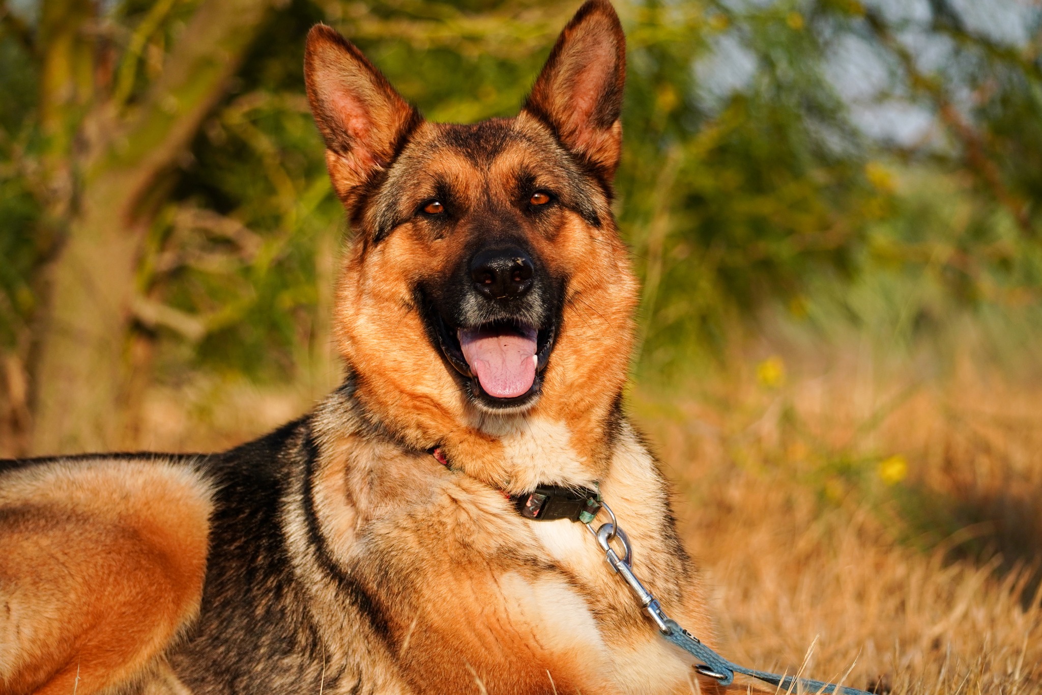 509012528_1140565904779060_3940807855531286832_n