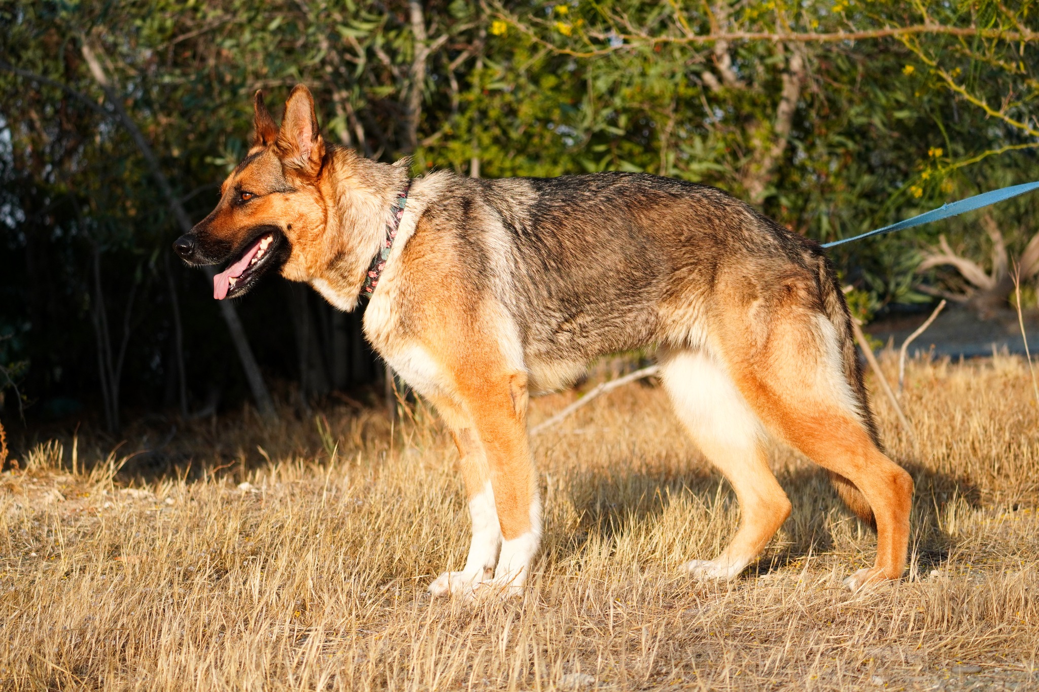 509760900_1140566011445716_1577340254570220204_n