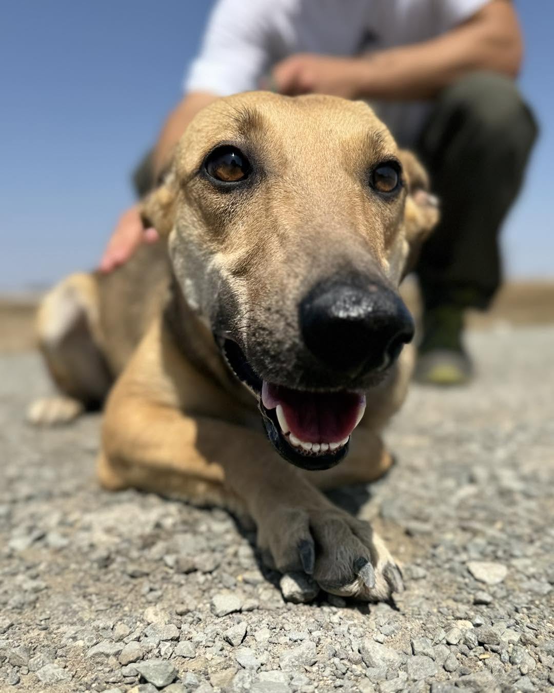 510797710_732143115995535_7888107629369008143_n