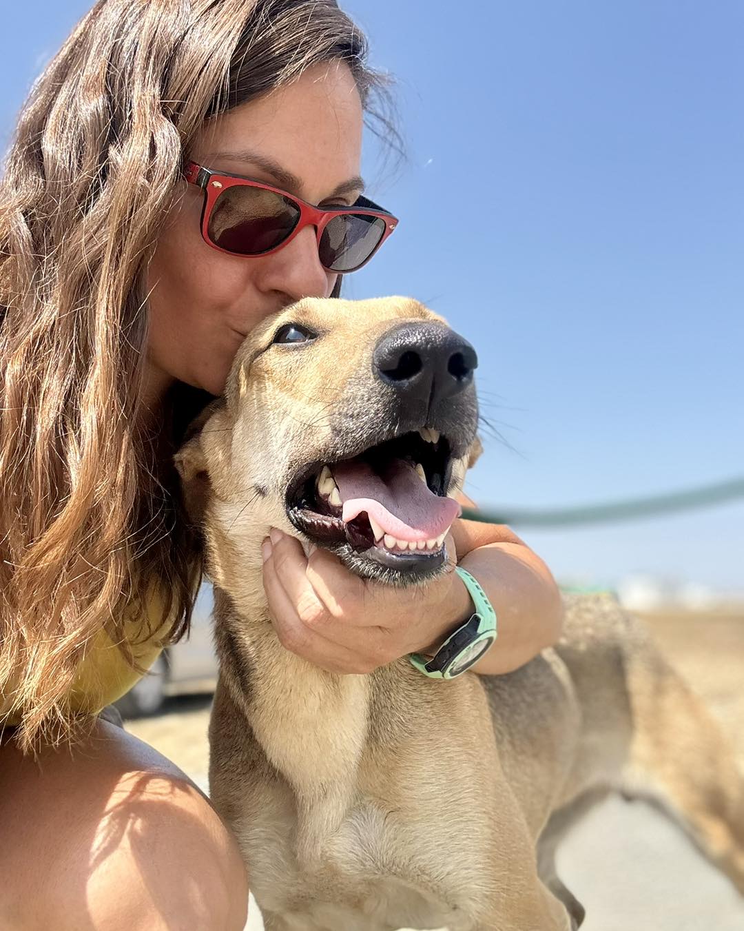 510993986_732143079328872_8988287010409783764_n