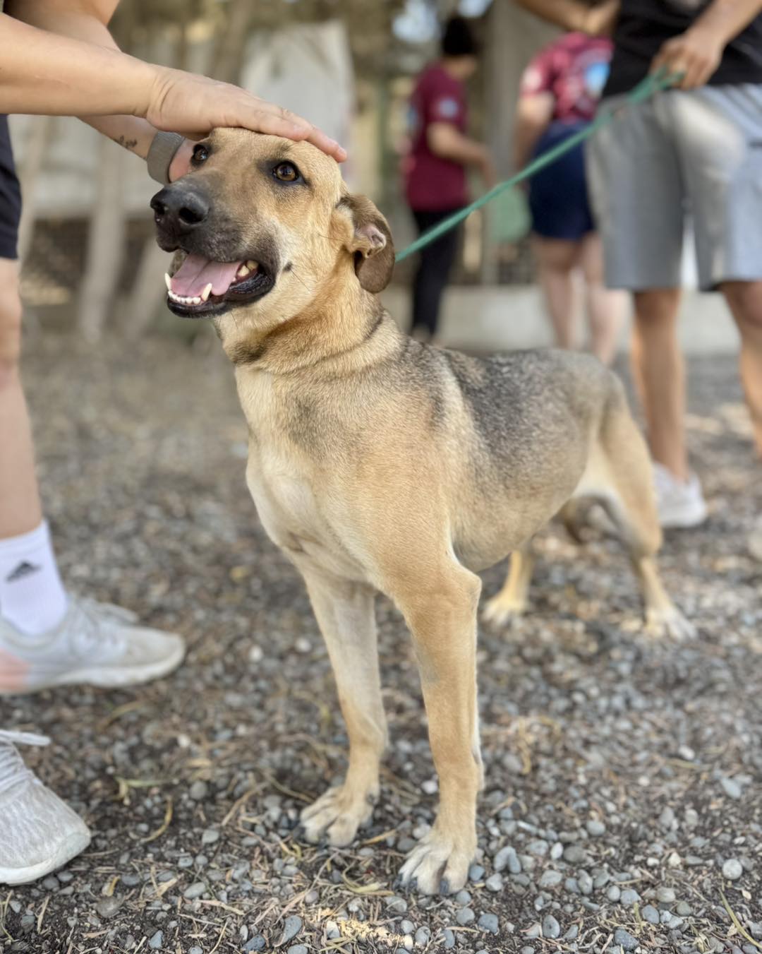 511199356_732143055995541_4999254756093465809_n