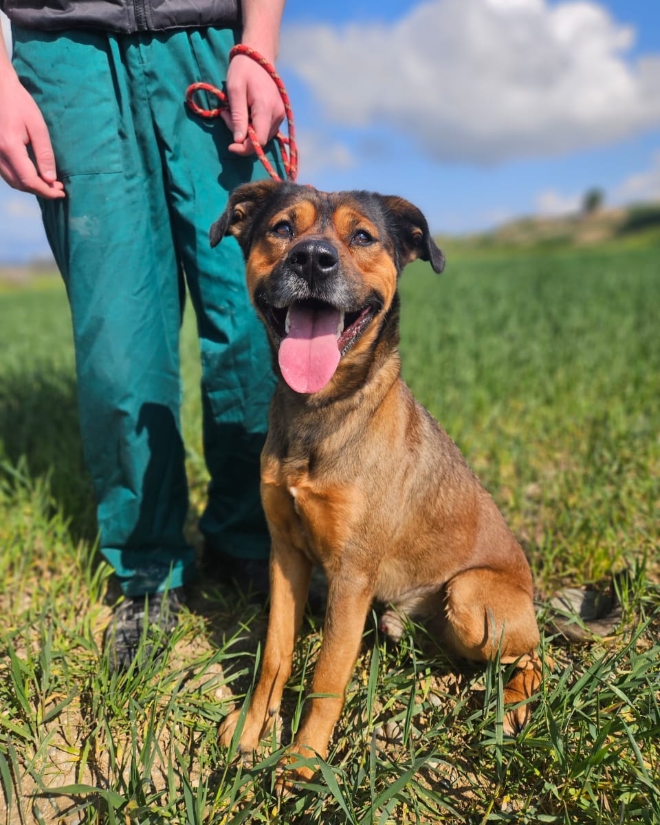 514259281_745071964702650_5671608854733734771_n