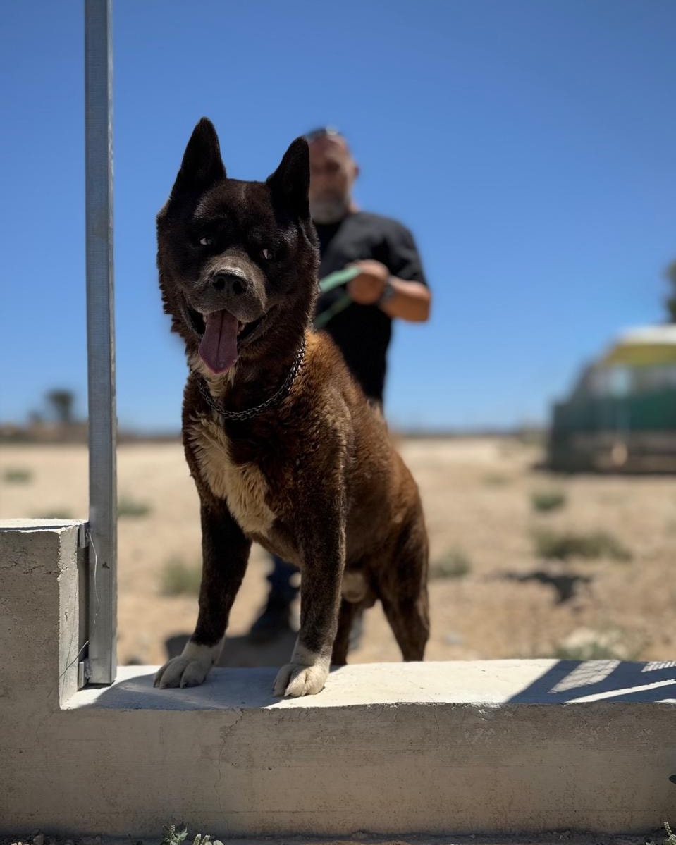 514263179_745075164702330_7095536033394523800_n