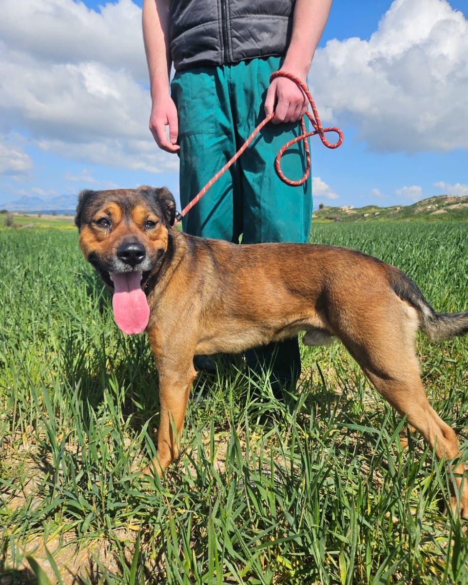 514410189_745071938035986_5762755194519259672_n