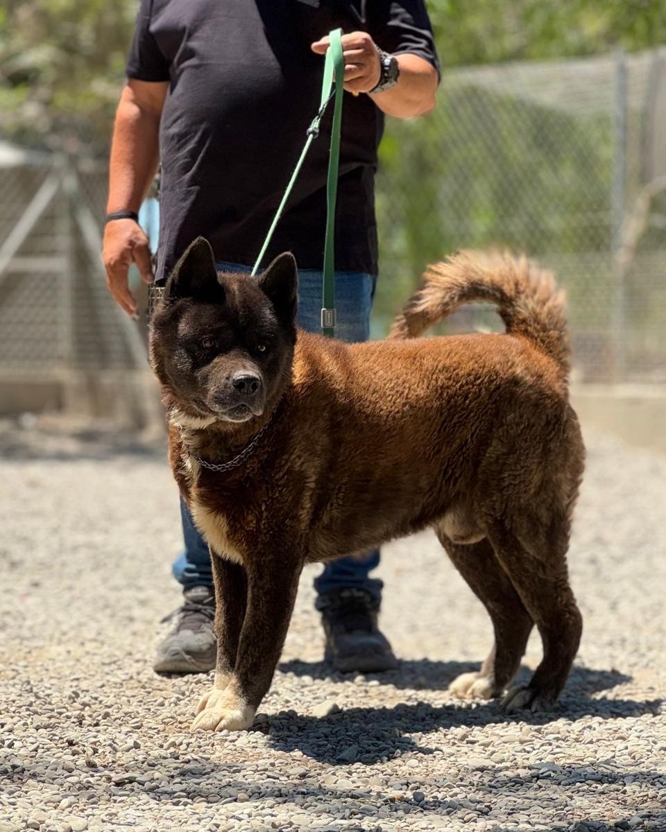 515491728_745075411368972_2151431958960777010_n