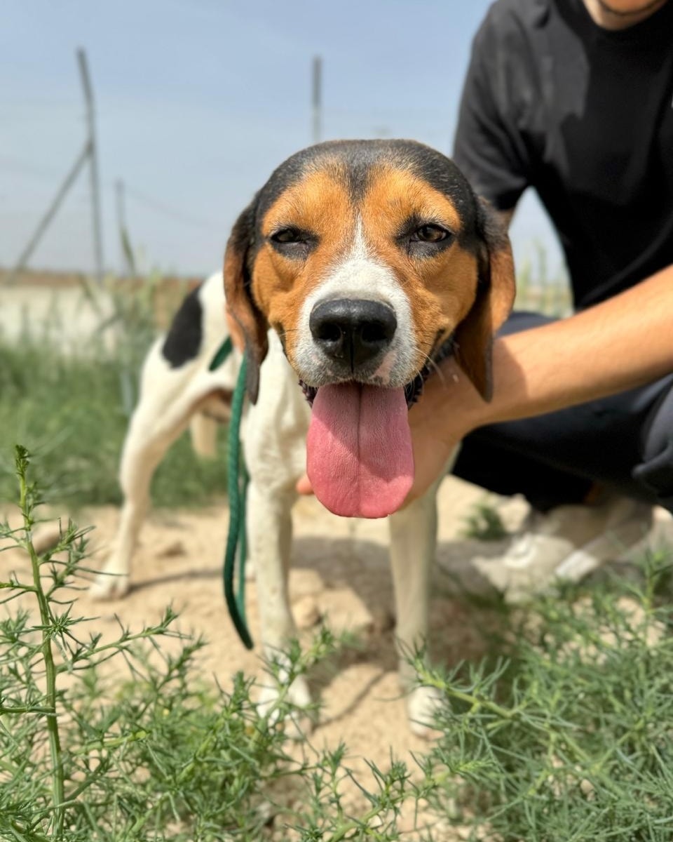 515493287_745089484700898_7460323385963318761_n