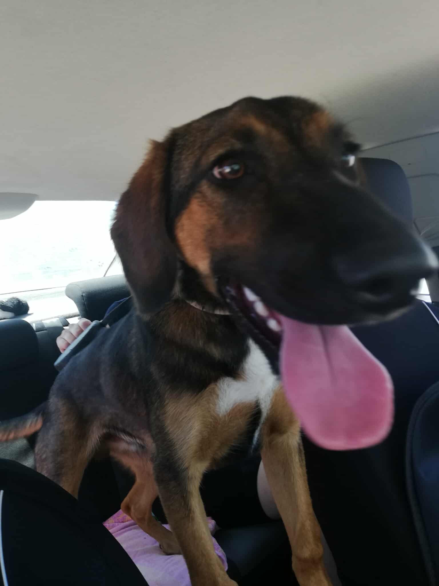 516074742_803528958664241_8958058178969232904_n