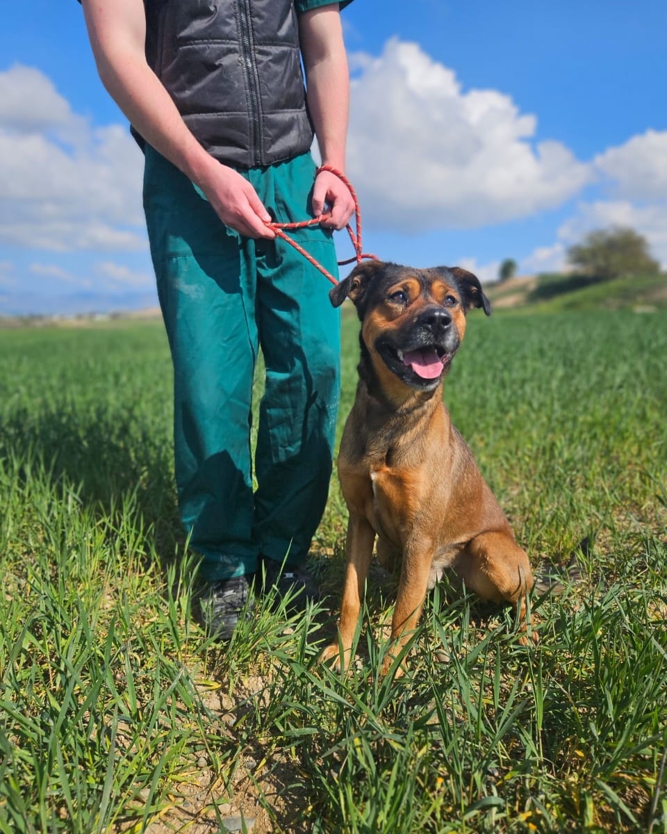 516448711_745072044702642_7591368380654218034_n