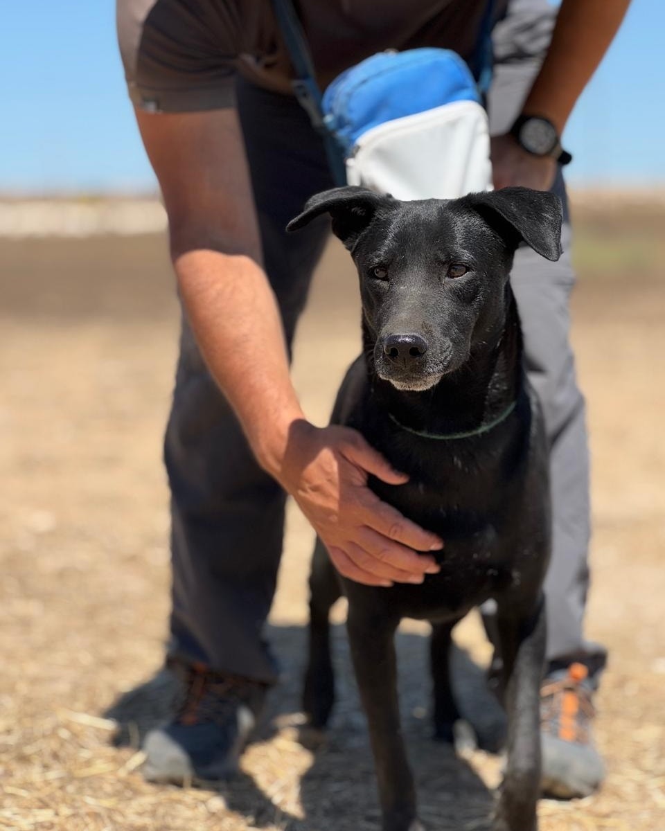 516594511_745092454700601_2350766375307459844_n