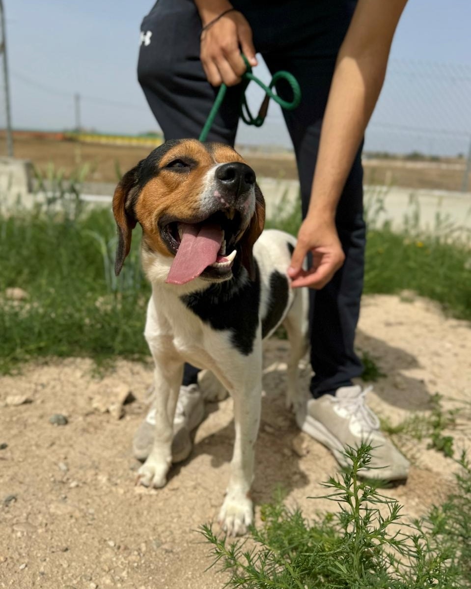 516696853_745089598034220_1899326837808289608_n