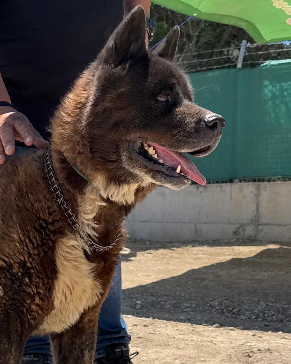 516777423_745075228035657_6972588145949949868_n