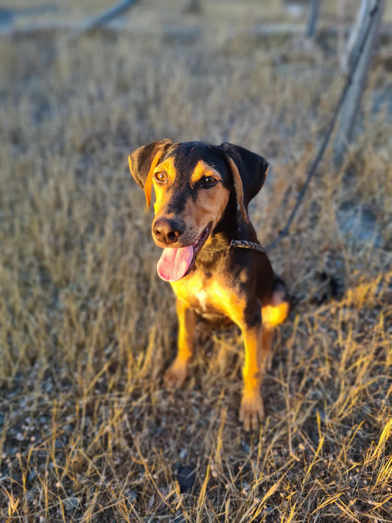 516799280_1159522536216730_4758167316183905508_n